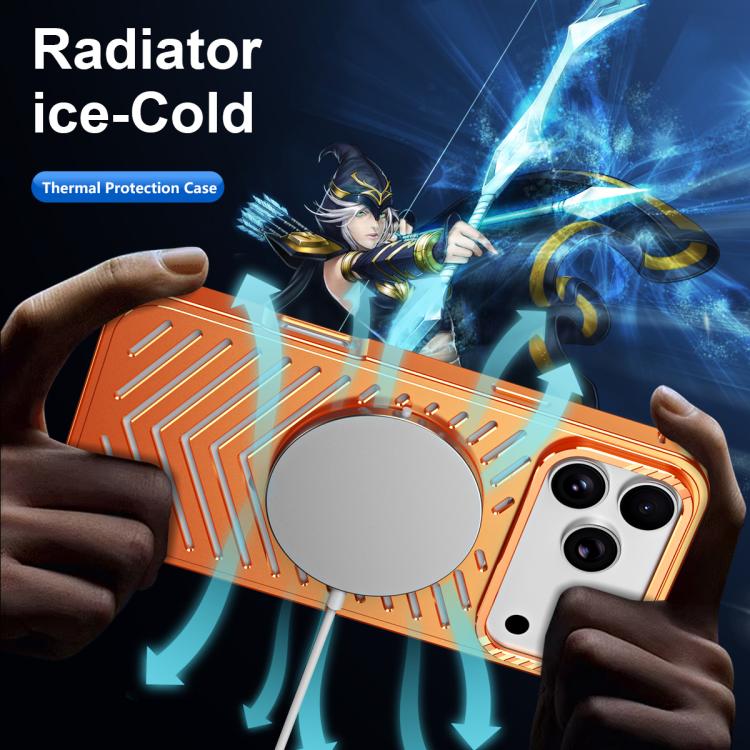 EDA0088267_B8.jpg@50456438c03ec251a598181703198dc9