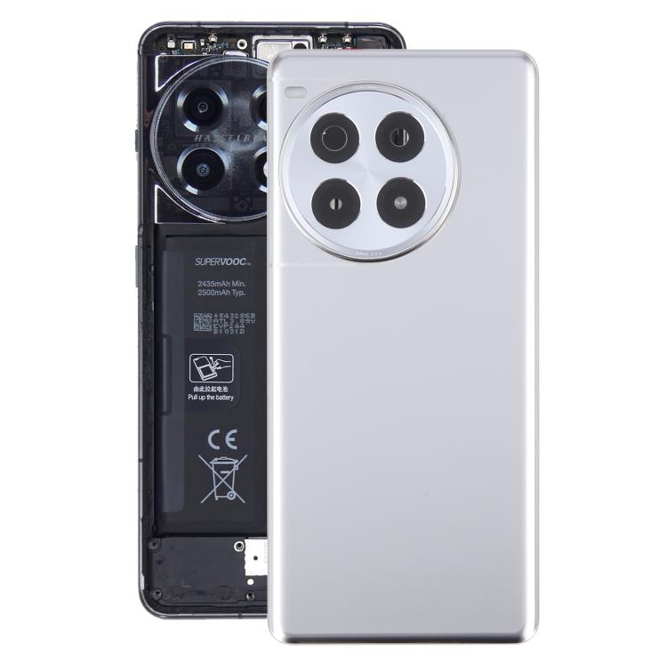 Tapa Trasera Batería Vidrio OnePlus Ace 3 Pro PJX110 Lente Cámara (Plateada)