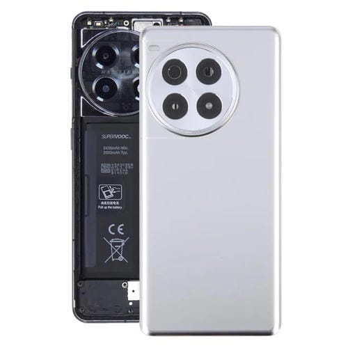 Coperchio Posteriore Batteria Vetro OnePlus Ace 3 Pro PJX110 Obiettivo Fotocamera (Argento)