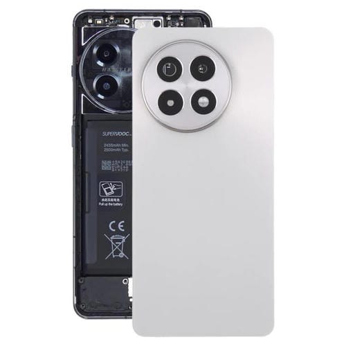 Coperchio posteriore della batteria in vetro OnePlus Ace 5 5G con obiettivo della fotocamera (Titanio)