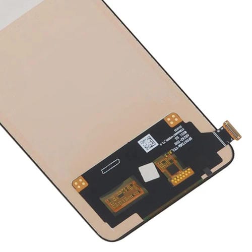 RPS0653_4.jpg@0fba695fe7bb2608b7d0af97bc2491e7