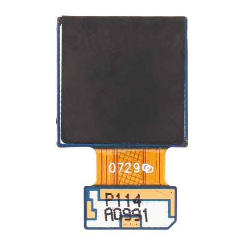 Caméra Arrière Samsung Galaxy M31s SM-M317