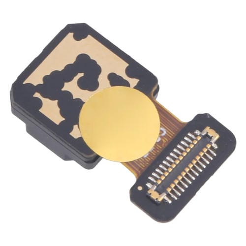 Câmara Traseira Larga Realme 10 Pro+ Original