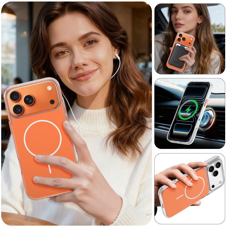 SYA0031474_B6.jpg@d904170f147ee3cb495faf7e23f81566