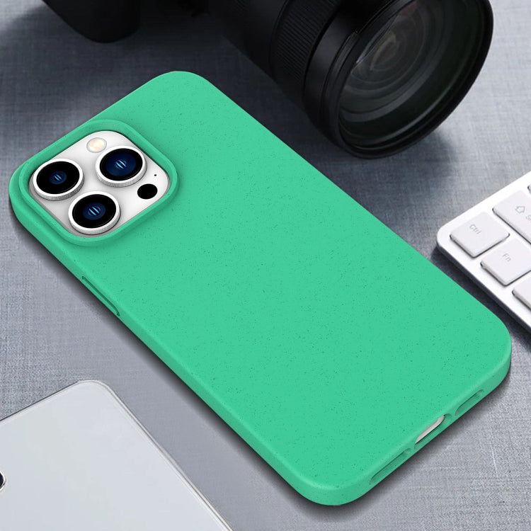 Funda TPU con Paja de Trigo para iPhone 16E (Verde Militar)