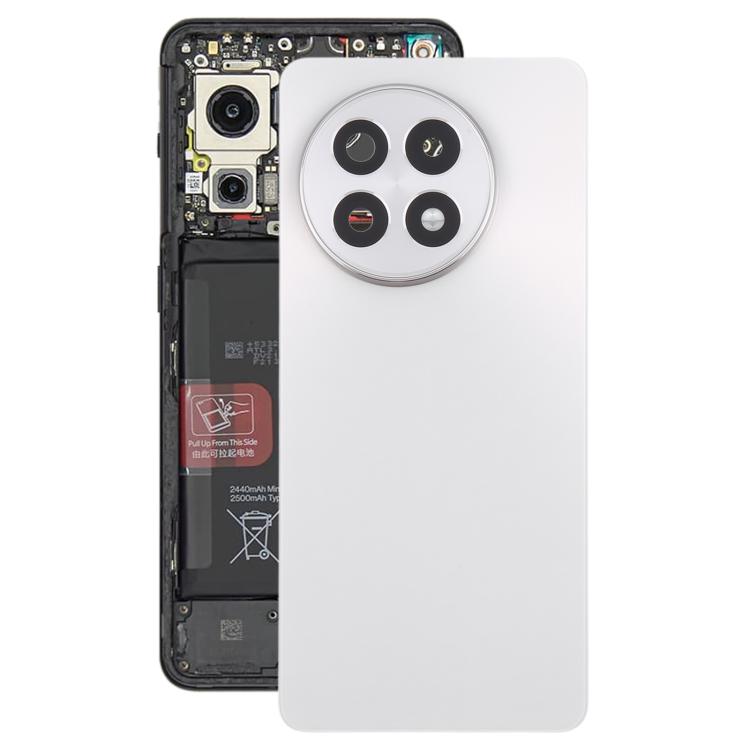Tapa Trasera Batería OnePlus 13R (Titanio)