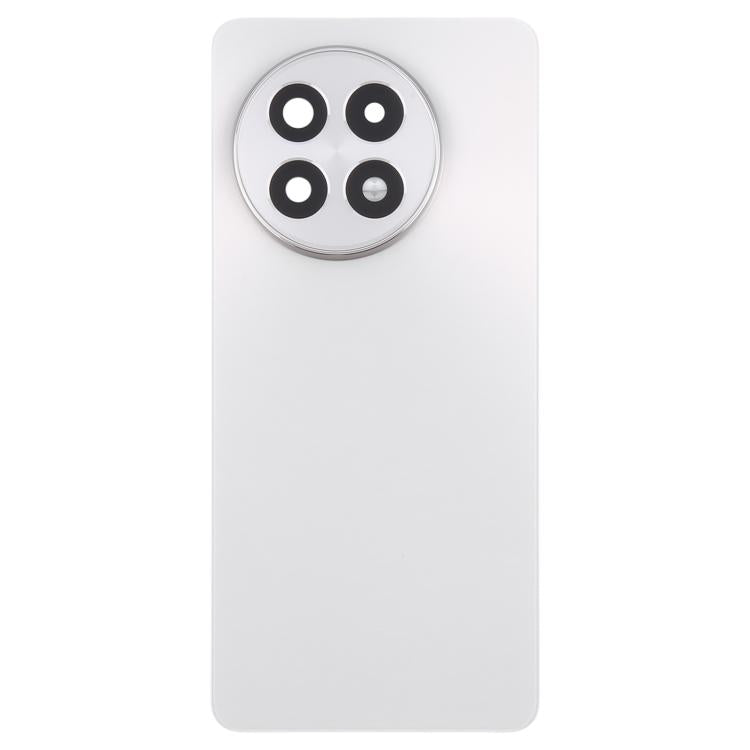 Tapa Trasera Batería OnePlus 13R (Titanio)