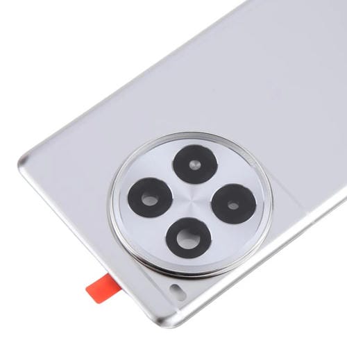 Back Cover Battery Glass OnePlus Ace 3 Pro PJX110 Camera Lens (Silver)