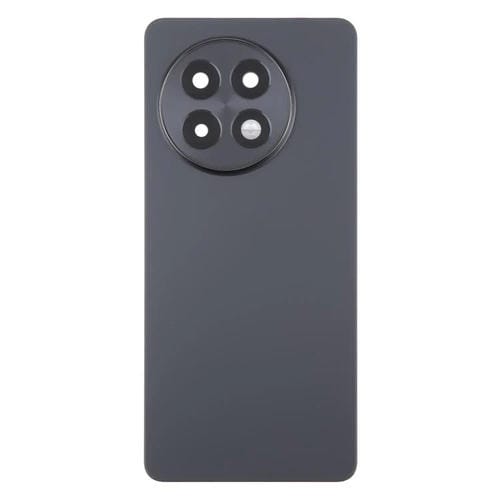 Coque arrière batterie verre OnePlus 13R CPH2645 CPH2691 CPH2647 (Gris mat)