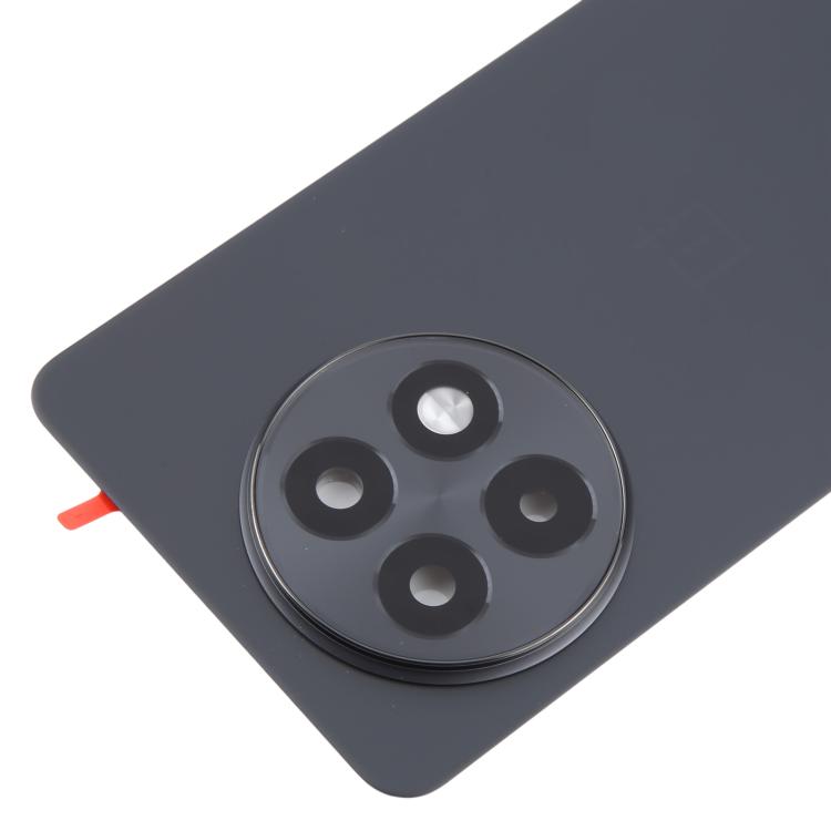 Tapa Trasera Batería Vidrio OnePlus 13R CPH2645 CPH2691 CPH2647 (Gris Mate)