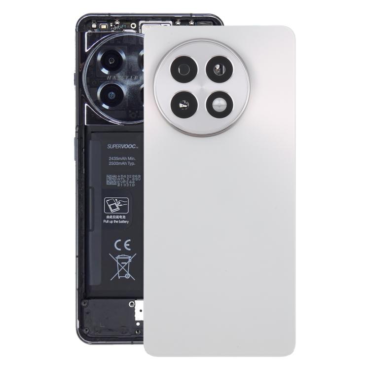 Rückseite Batterieglasabdeckung OnePlus 13R CPH2645 CPH2691 CPH2647 (Matt Silber)