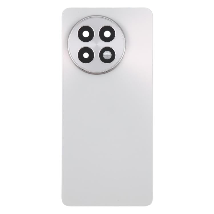 Rückseite Batterieglasabdeckung OnePlus 13R CPH2645 CPH2691 CPH2647 (Matt Silber)