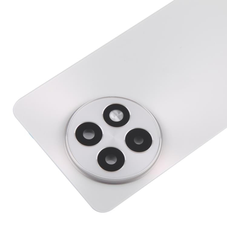 Rückseite Batterieglasabdeckung OnePlus 13R CPH2645 CPH2691 CPH2647 (Matt Silber)