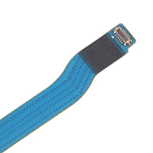 Cabo Flex da Placa Base Samsung Galaxy S10 5G (EUA)