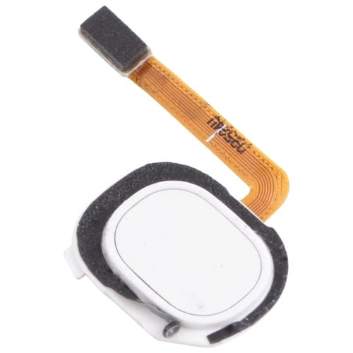 Cavo Flex Sensore Impronte Digitali Samsung Galaxy A20E/A20 (Bianco)