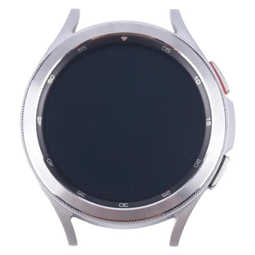 LCD Screen with Frame Samsung Galaxy Watch 4 Classic 46mm SM-R890/R895 (Silver)
