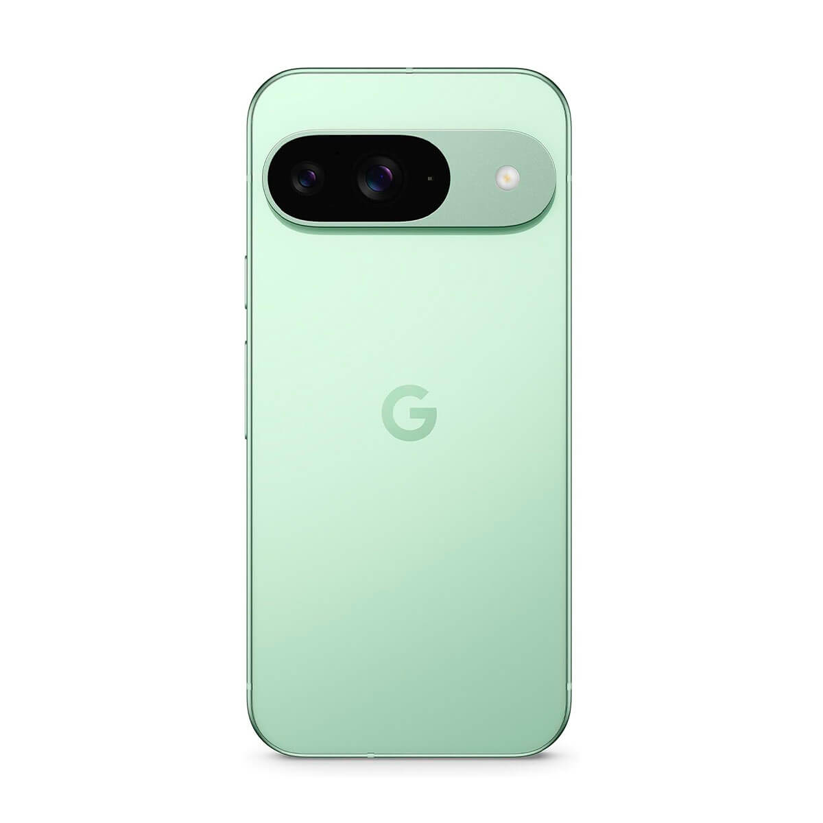 Google Pixel 9 5G 12GB/128GB Grün (Wintergrün) Dual-SIM