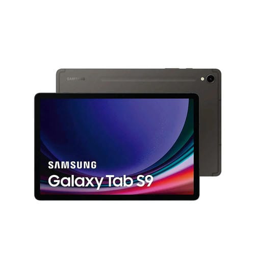 Samsung Galaxy Tab S9 11.0 12GB/256GB Wi-Fi Gray